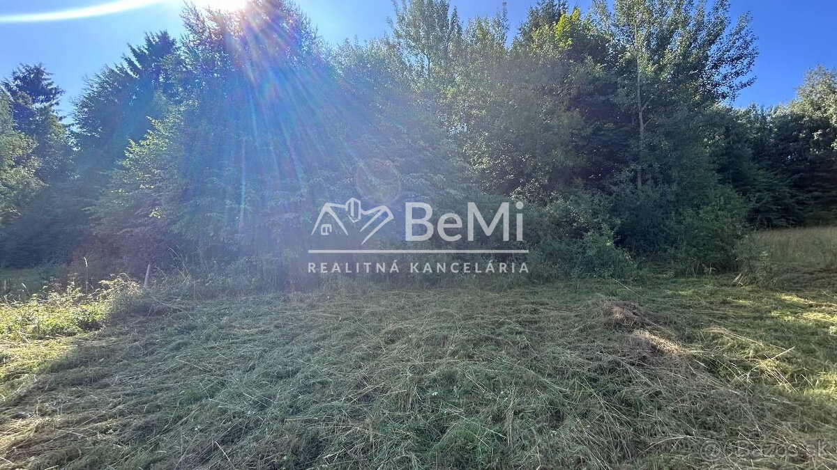 Na predaj pozemok – orná pôda v Hriňová – časť Slanec - 2