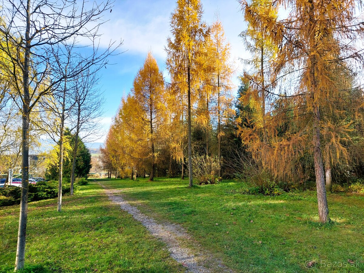 REZERVÁCIA EXKLUZÍVNE Garsónka s balkónom, Žilina - V - 2