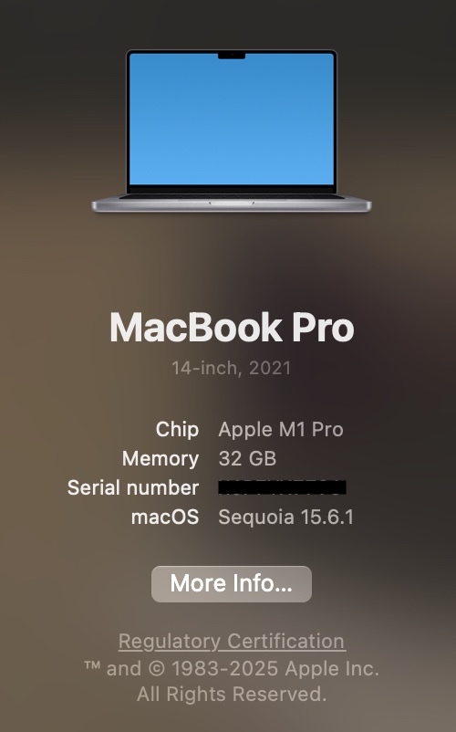 Macbook Pro 14 (32GB RAM, 1 TB HDD) Space Grey - 2