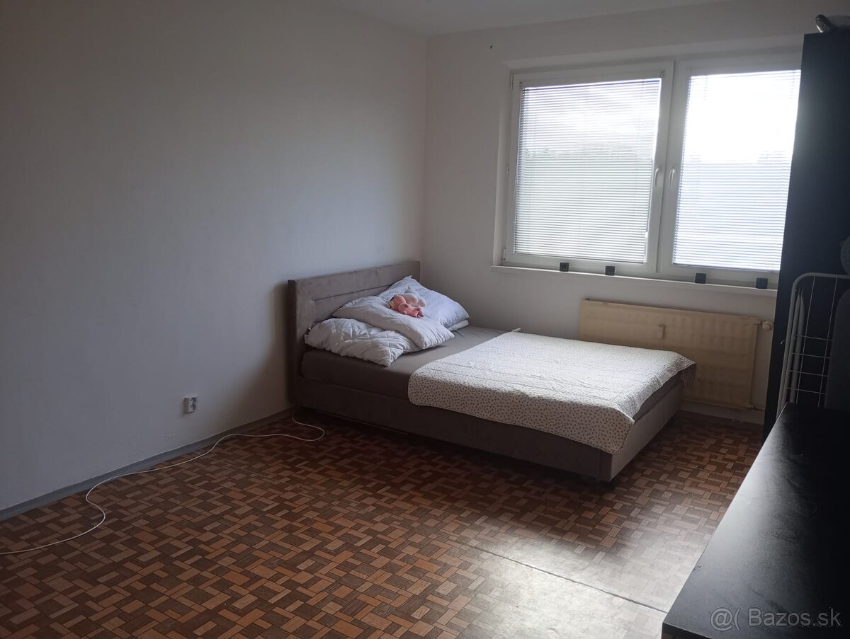 Jednoizbový byt - 2