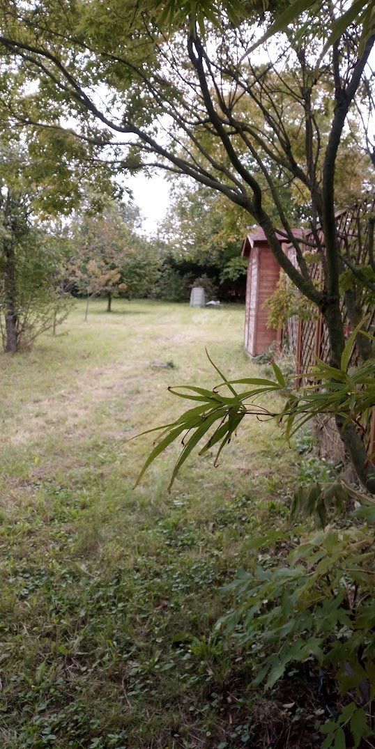 Znížená cena -Pozemok Zlaté Moravce. Dlhá- Bernolákova - 2