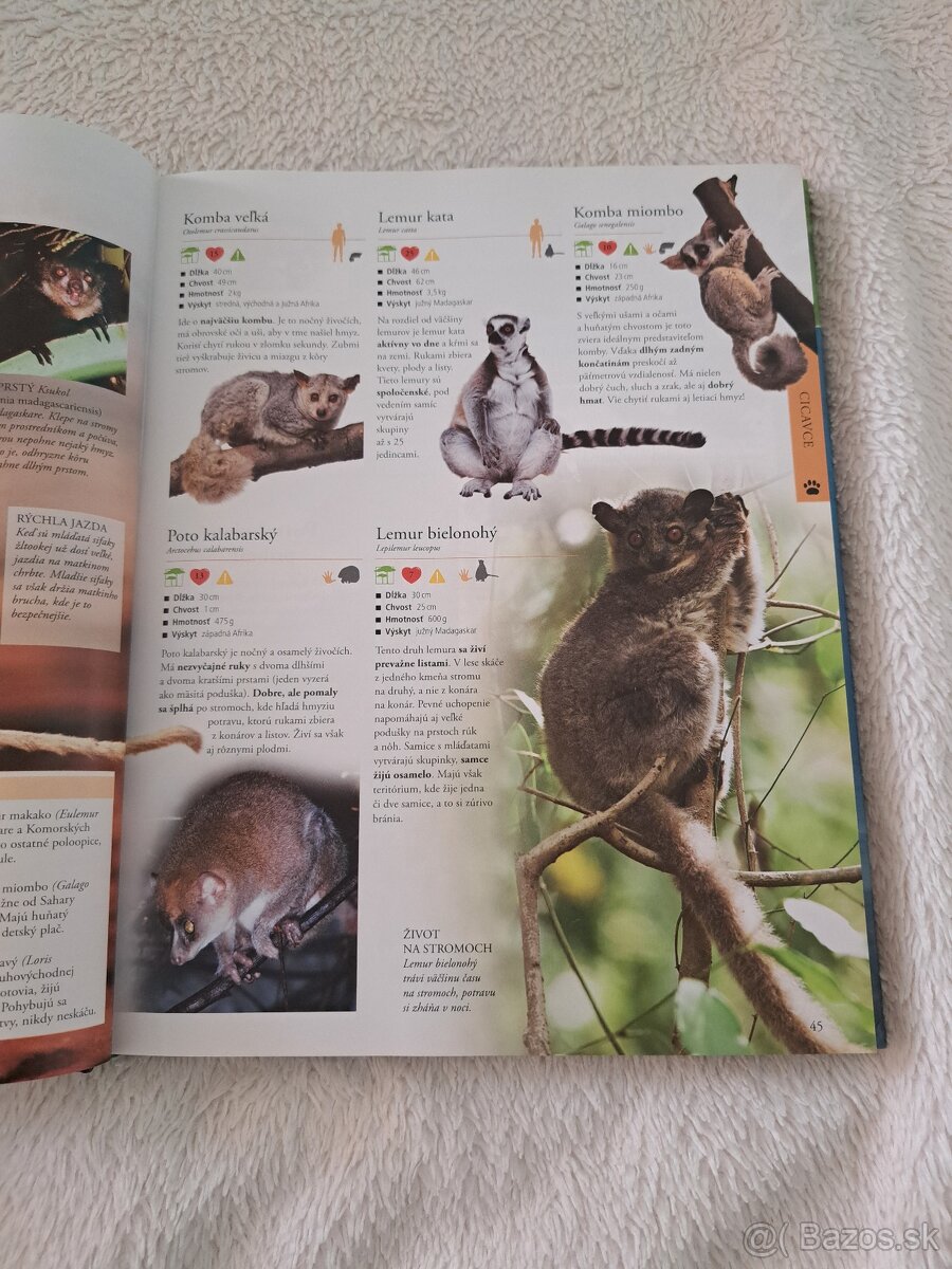 Živočíchy detská encyklopédia - 2