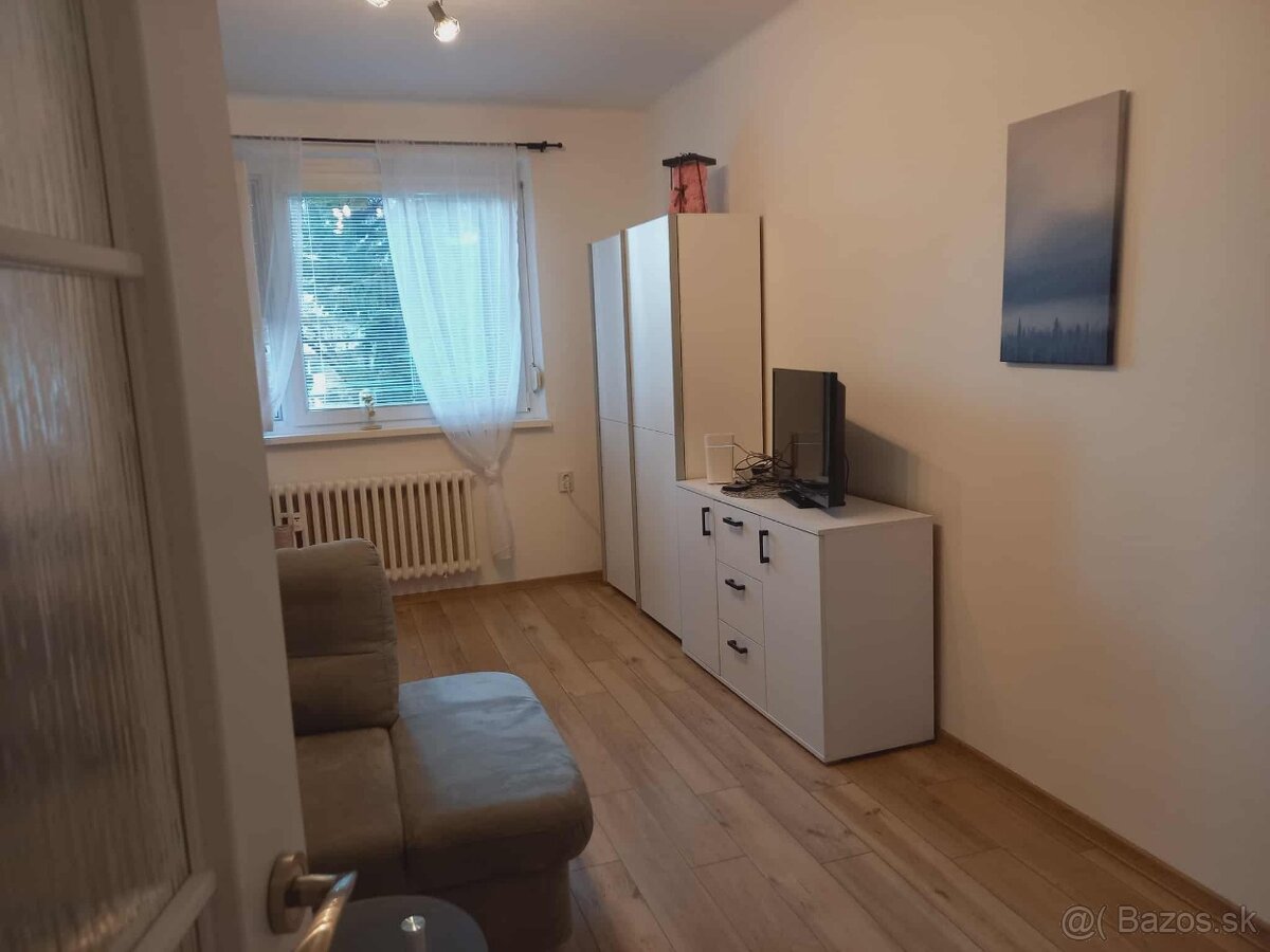 ZNÍŽENÁ CENA prenájom 1 izbový byt - 2