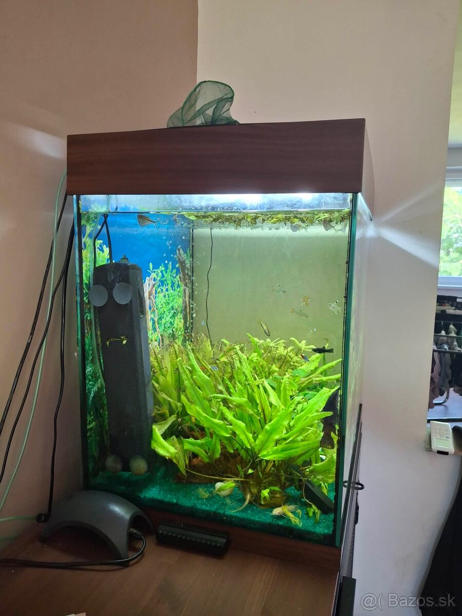 Akvárium 120L - 2