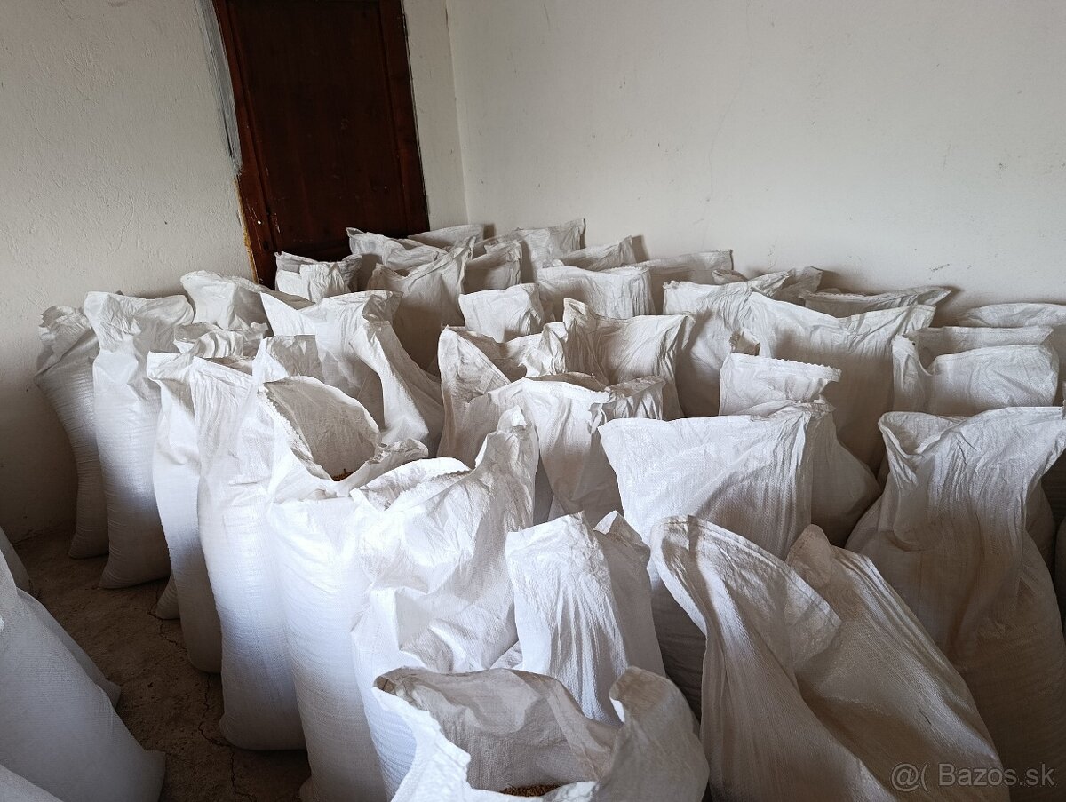 Tritikale, Jačmen - 2