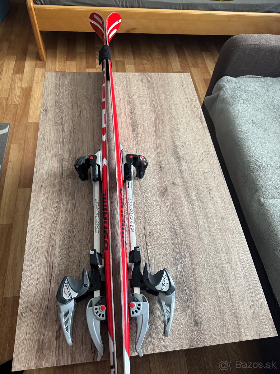 Lyže Dynamic 170cm Viazanie Diamir Expolore - 2