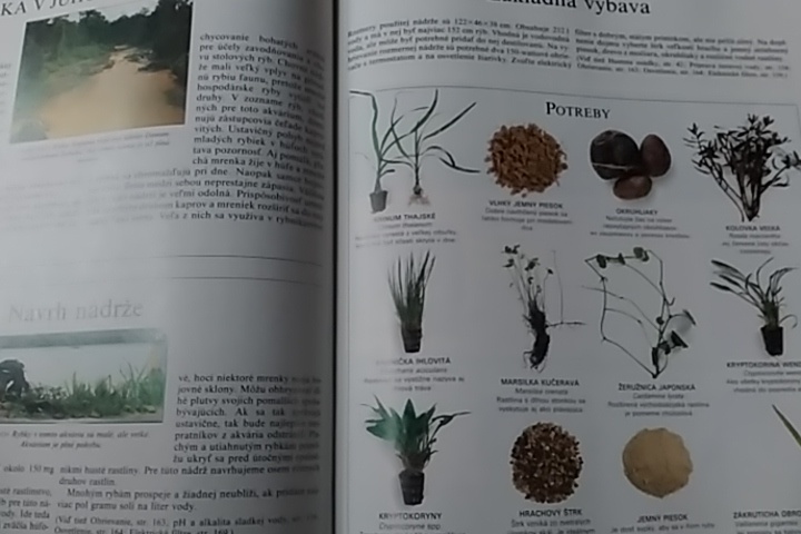 Akvárium Peter W. Scott - 2