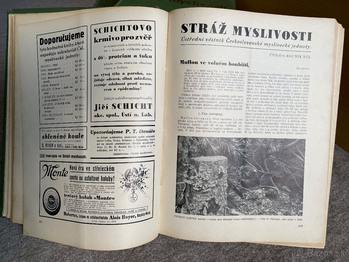 Stráž myslivosti - 2