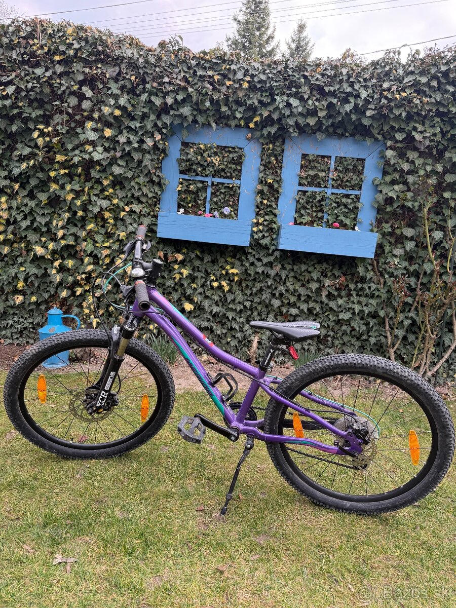 Merida Rower MATTS 24” - 2