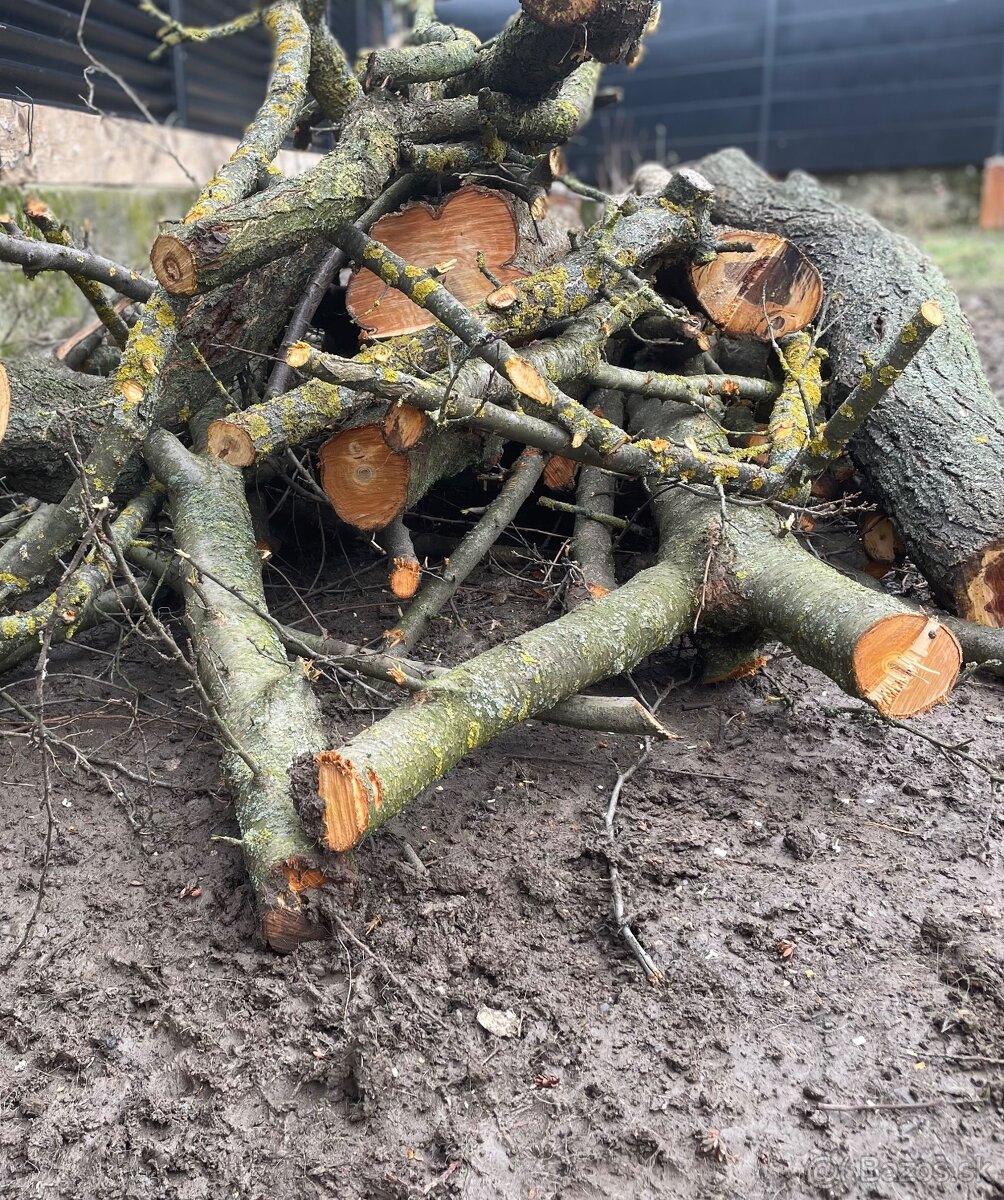 Drevo na údenie - 2