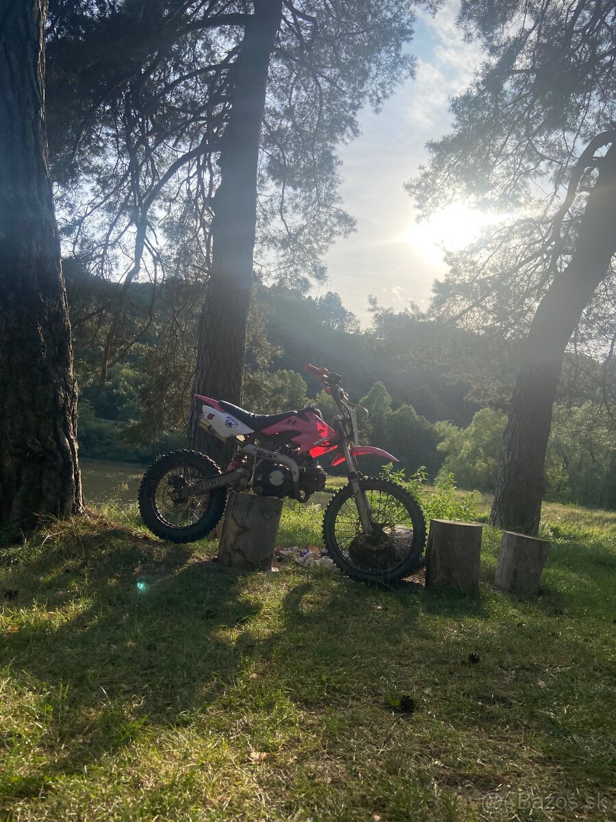 Pitbike 125 - 2