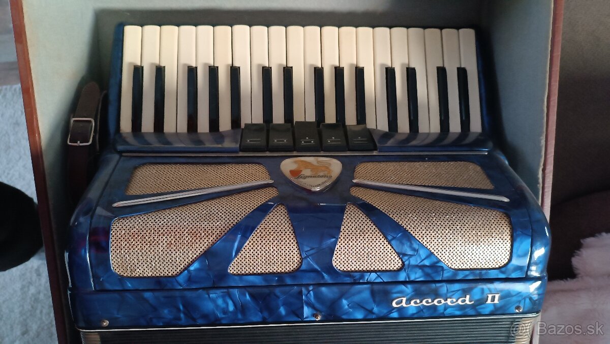 akordeón Lignatone Accord II - 2