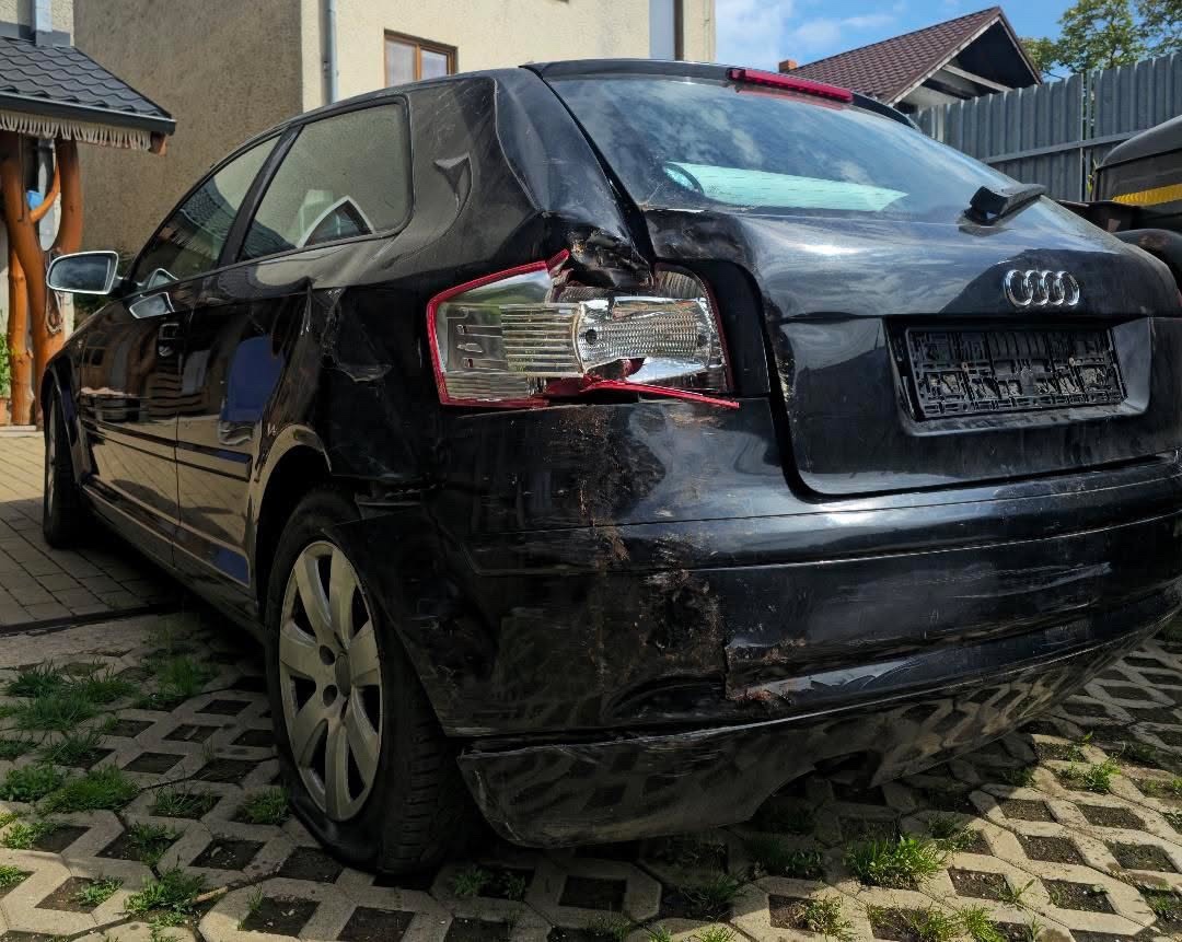 Audi A3 8P 2.0 TDI BKD - 2