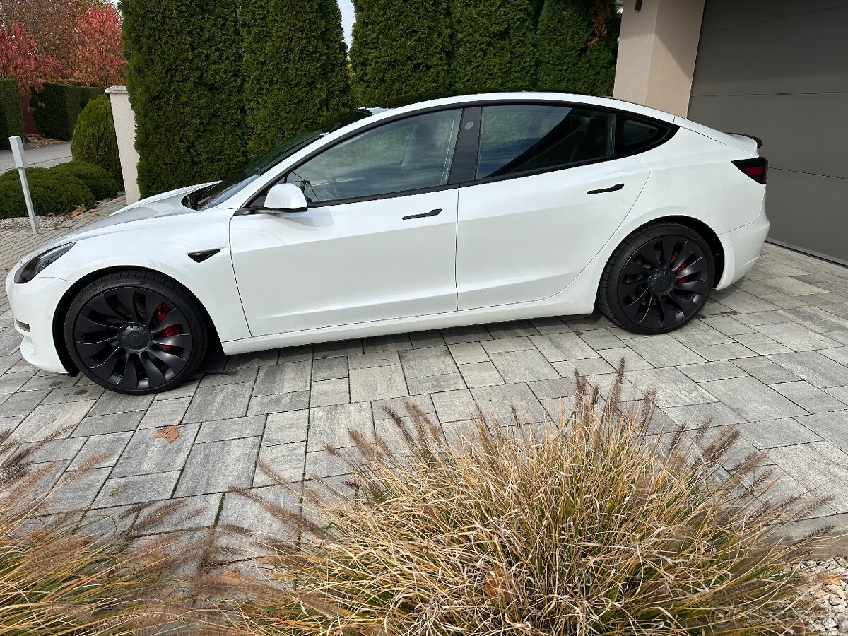 Predam:2022 Tesla3 Performance - 2