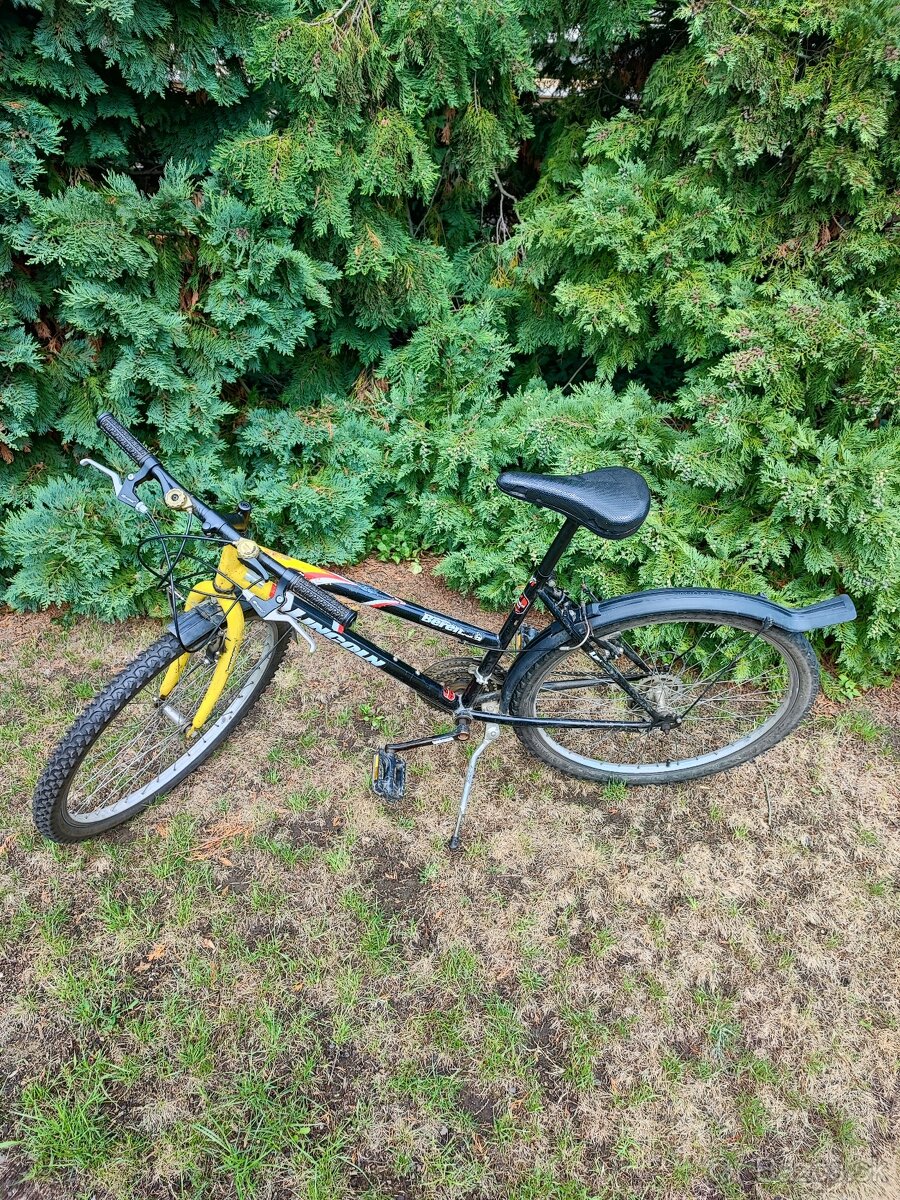 Lincoln berenica - 2