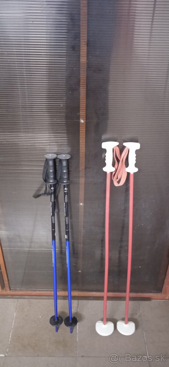 Predam detske lyziarke palice - 2