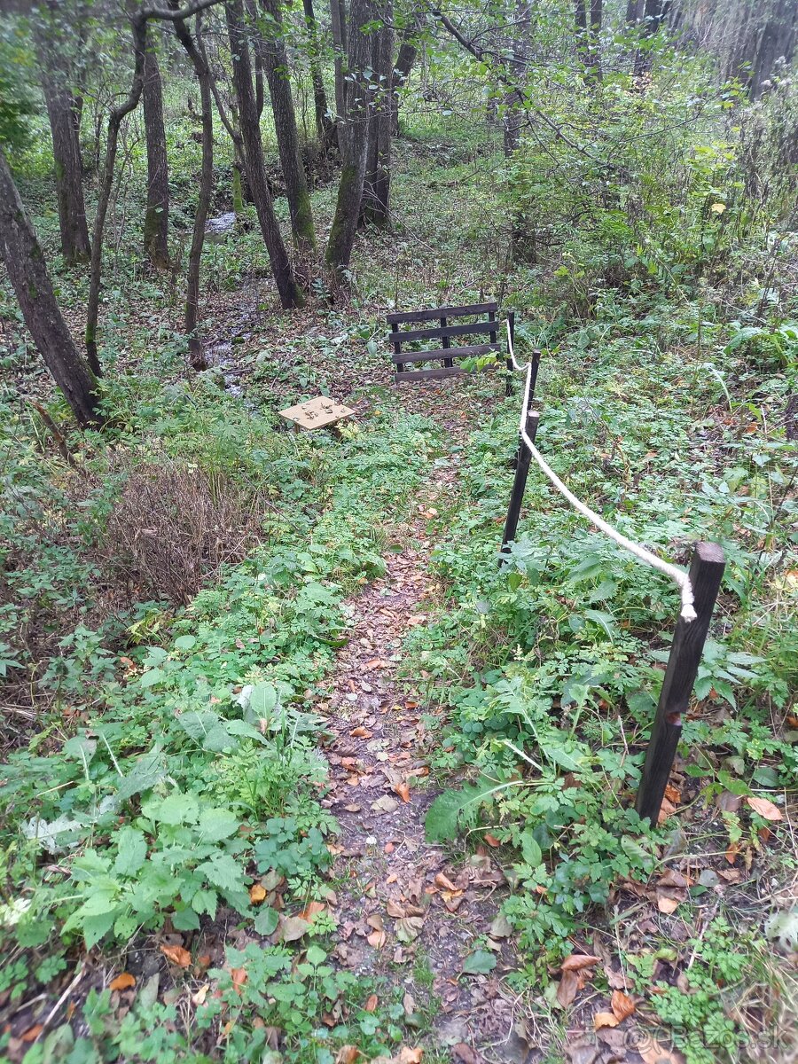 pozemok na ranč, farmu, usadlosť, kemping Lipovce 12000m2 - 2