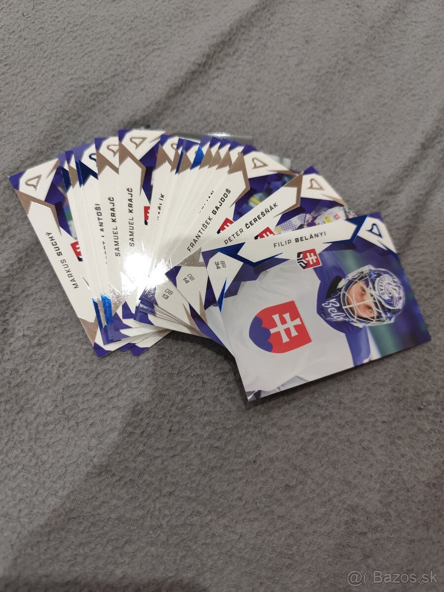 Hokejové Slovensko 2025 - 2