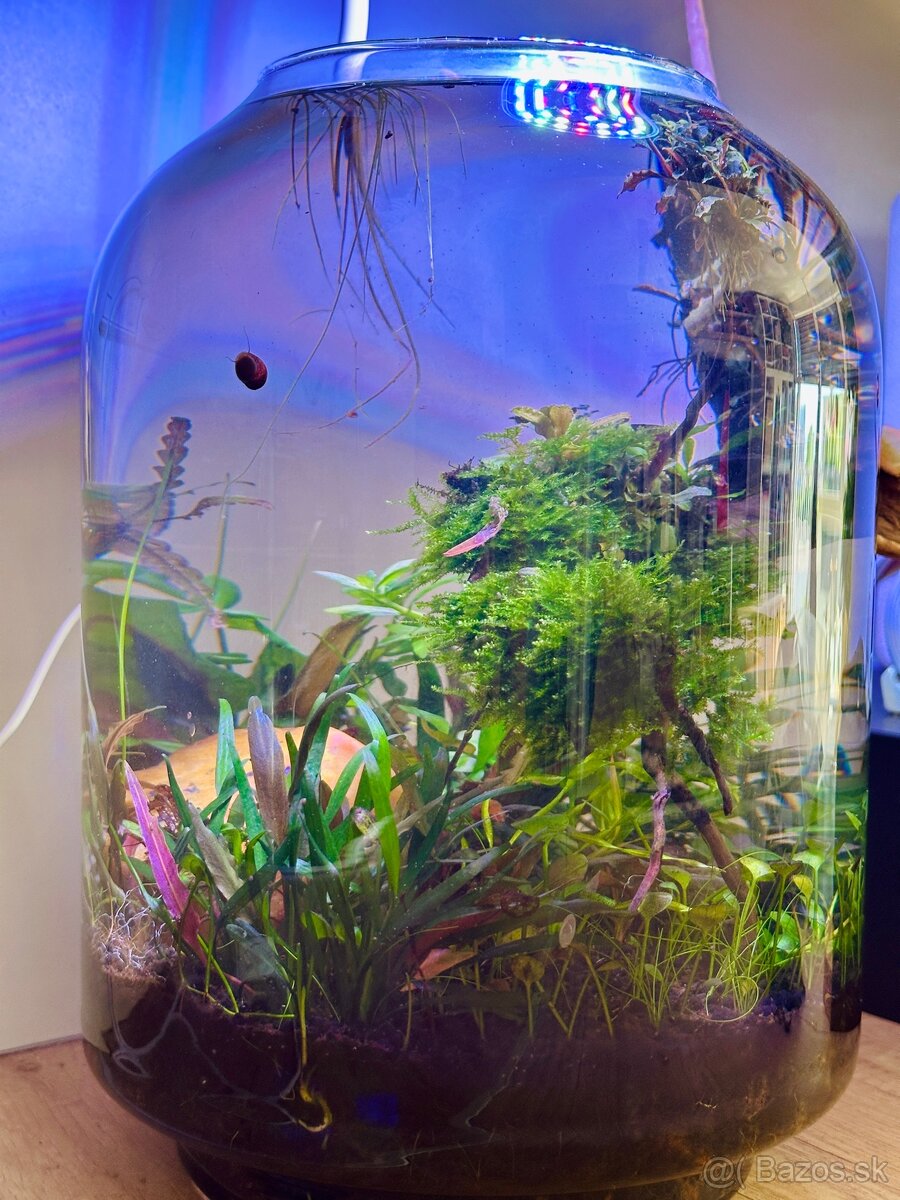 Male akvarium 5l - 2