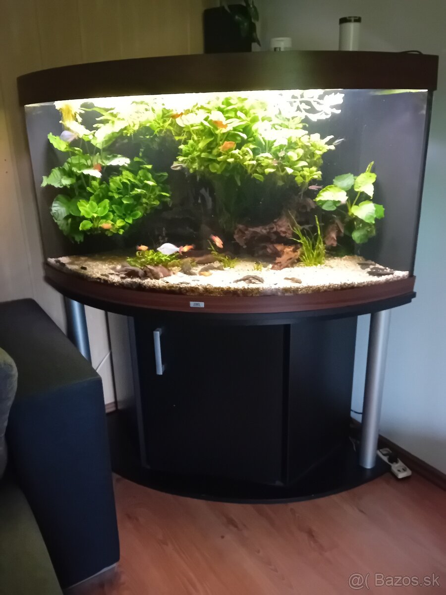 Rohové akvárium - 2