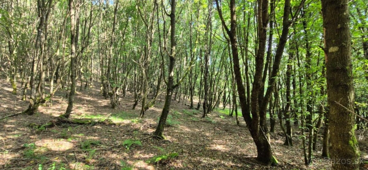 Na predaj rozsiahly pozemok 10 420 m² – Komárov - 2