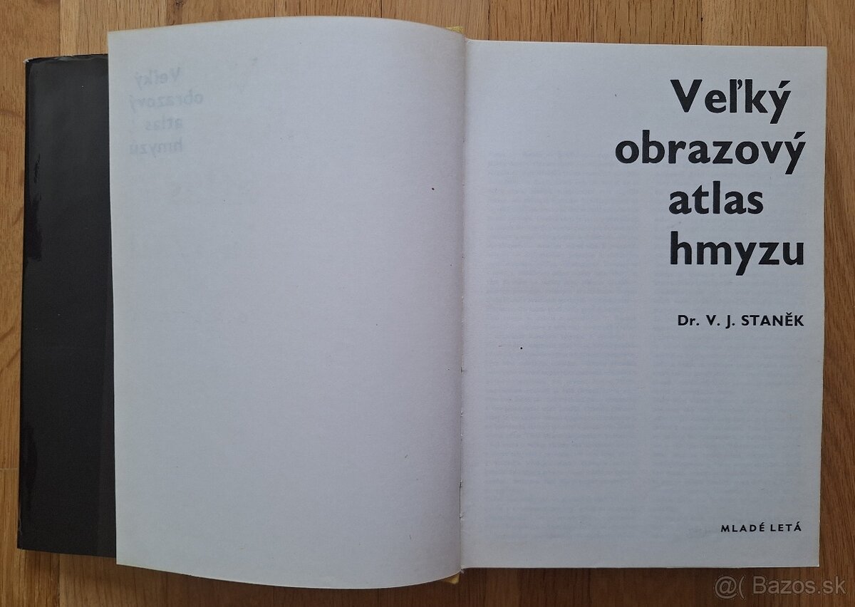 Velky obrazovy atlas hmyzu - 2