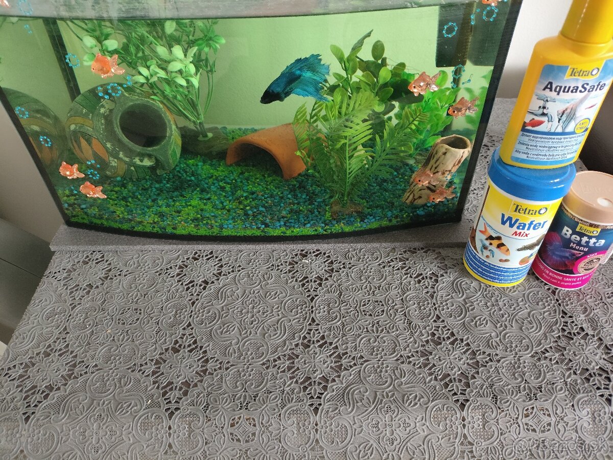 Akvárium s rybkou - 2