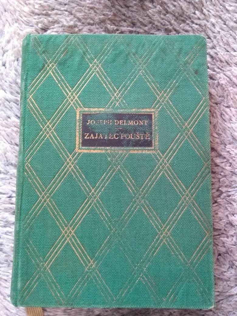 Joseph Delmont-Zajatec pouště - 2