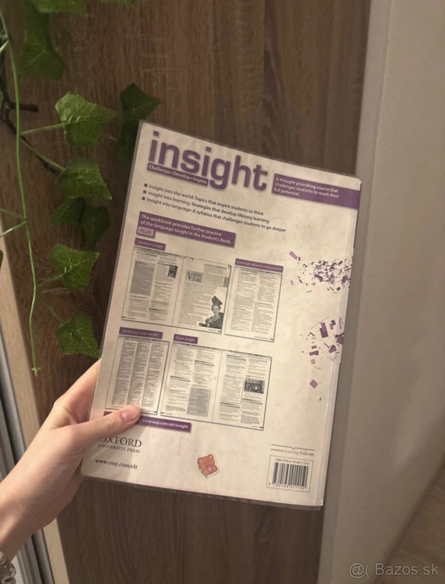 Insight Workbook Advanced C1 anglický jazyk - 2