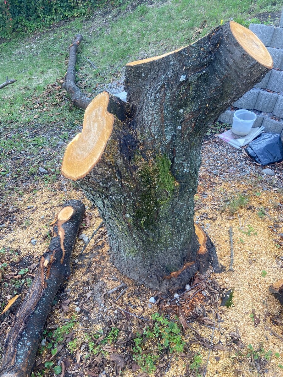 Čerešňove drevo - 2