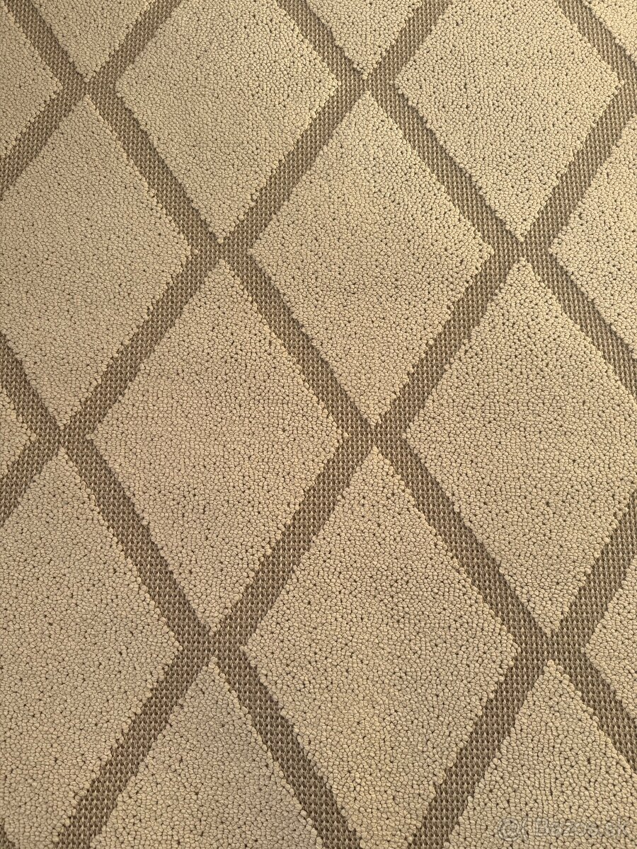 Koberec rypestarr - 2