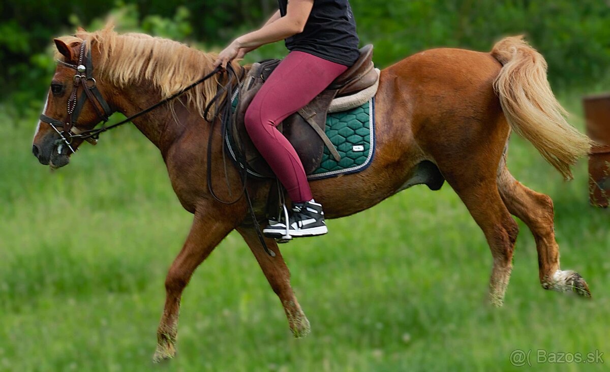 Valášek pony - 2