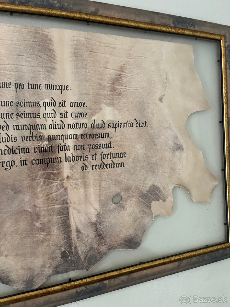 Obraz 83x57 latinský citát - 2