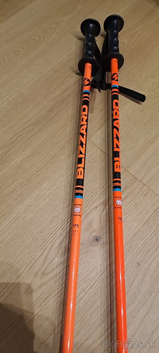 Lyziarske palice - 2