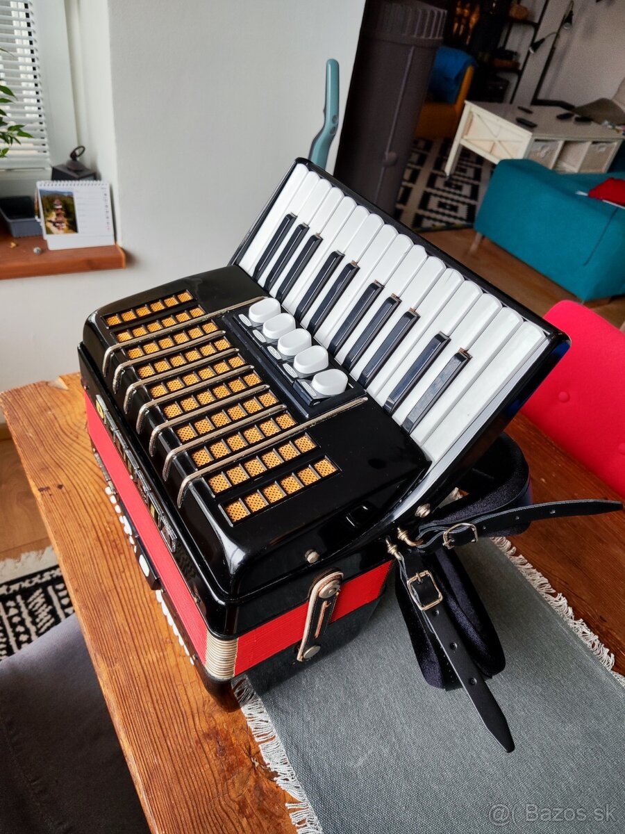 Predam Akordeon Delicia JUNIOR 72b XIV - 2