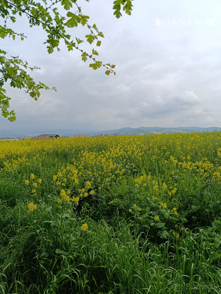 NA PREDAJ slnečný pozemok na výstavbu RD Beluša,1935m2 - 2