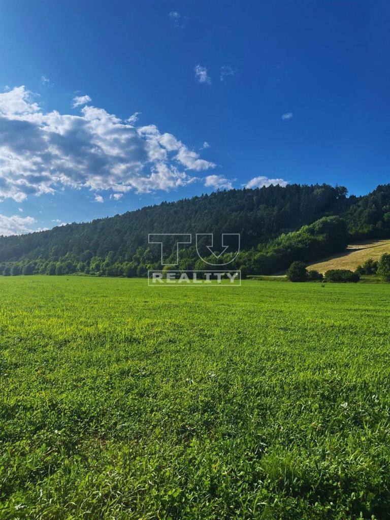 Rovinatý pozemok v Dolnom Lieskove - 2