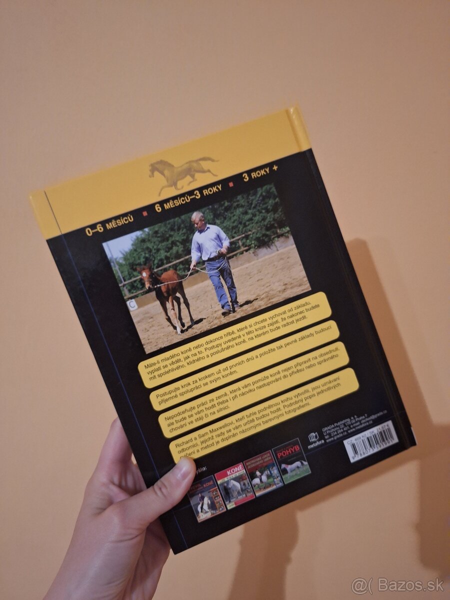 Výcvik mladeho kone - 2