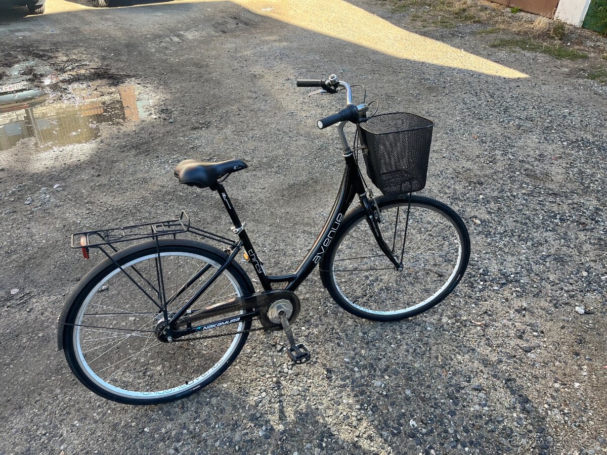 Mestsky bicykel - 2