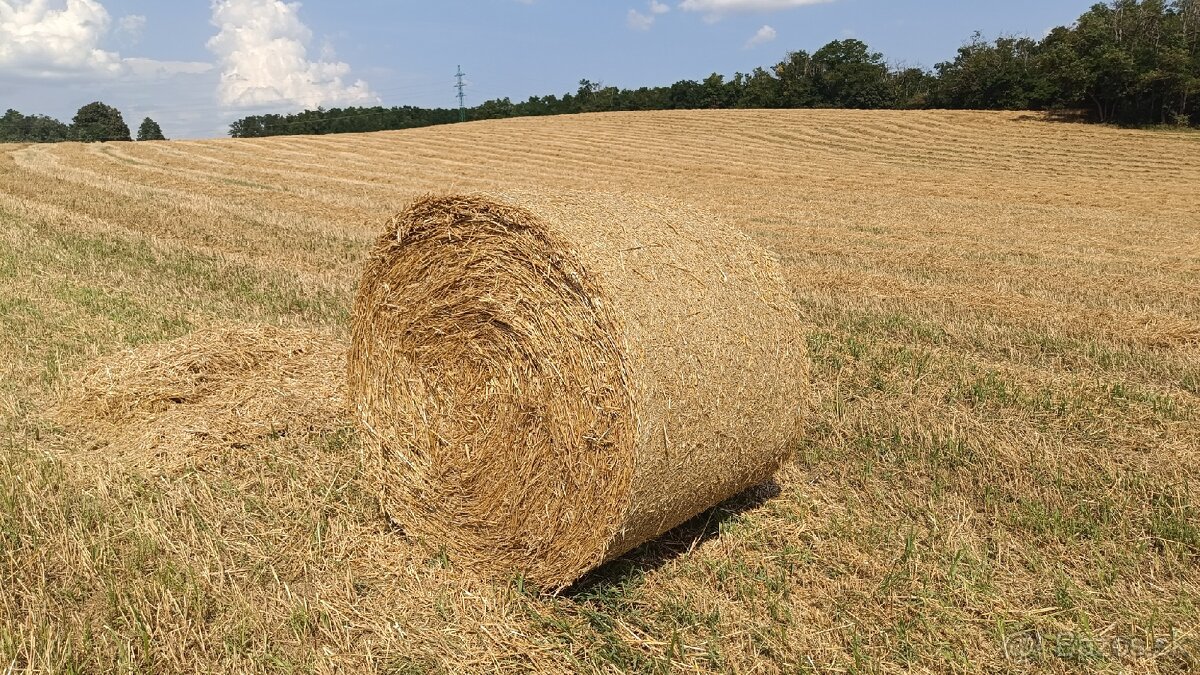 Balíkovaná pšeničná a jačmenná slama - 2