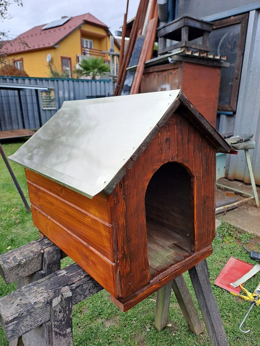 Búda pre psíka. - 2