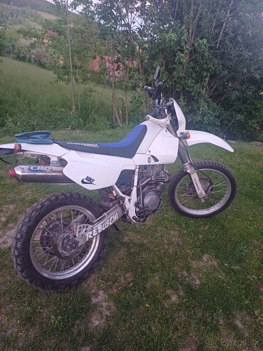 Yamaha 600 TT - 2