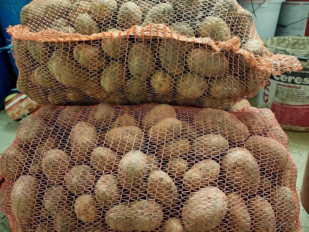 Zemiaky Queen anna - 2