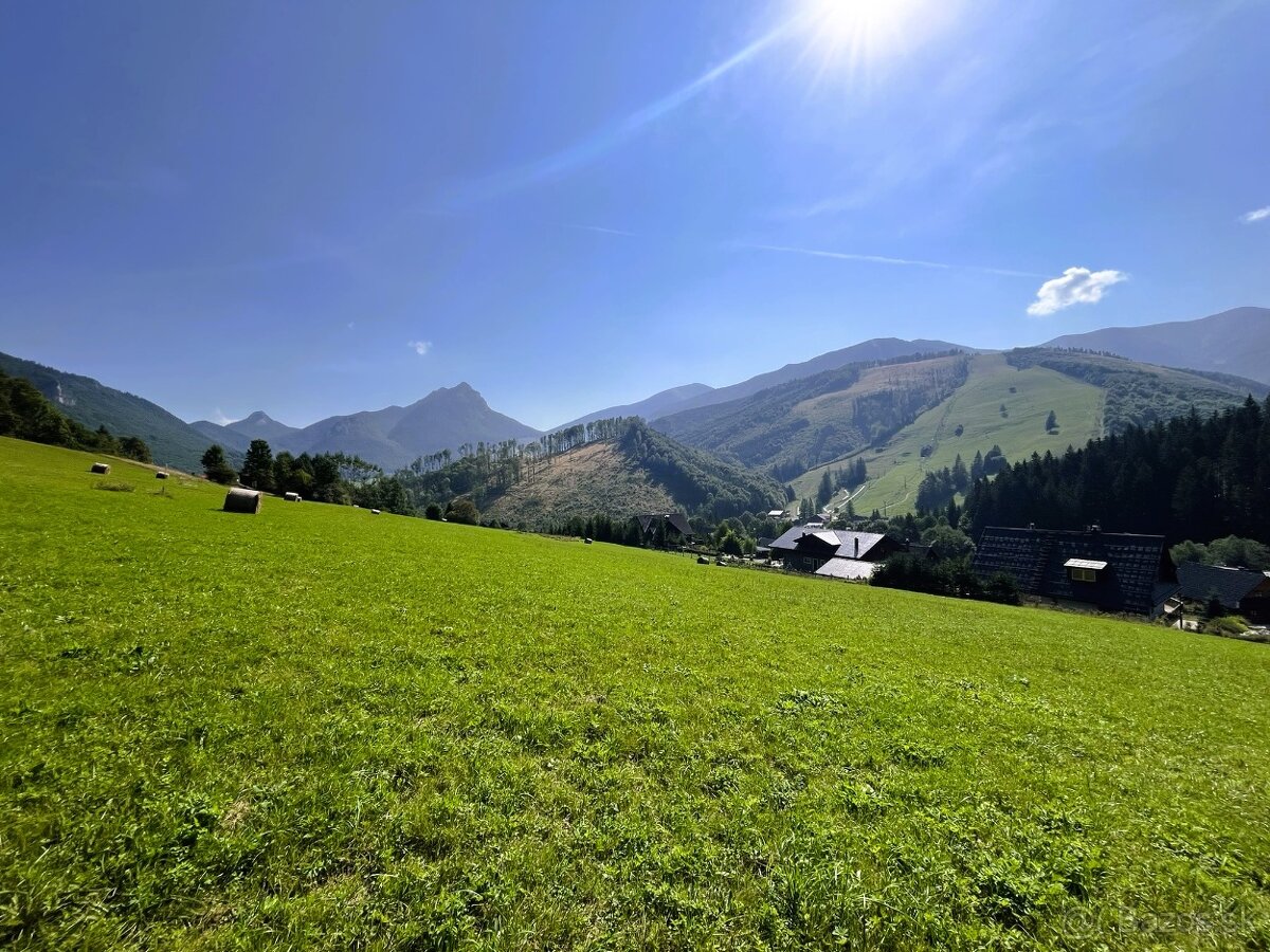 Predaj: Pozemok - Terchová, Vrátna dolina (3212 m2) - 2