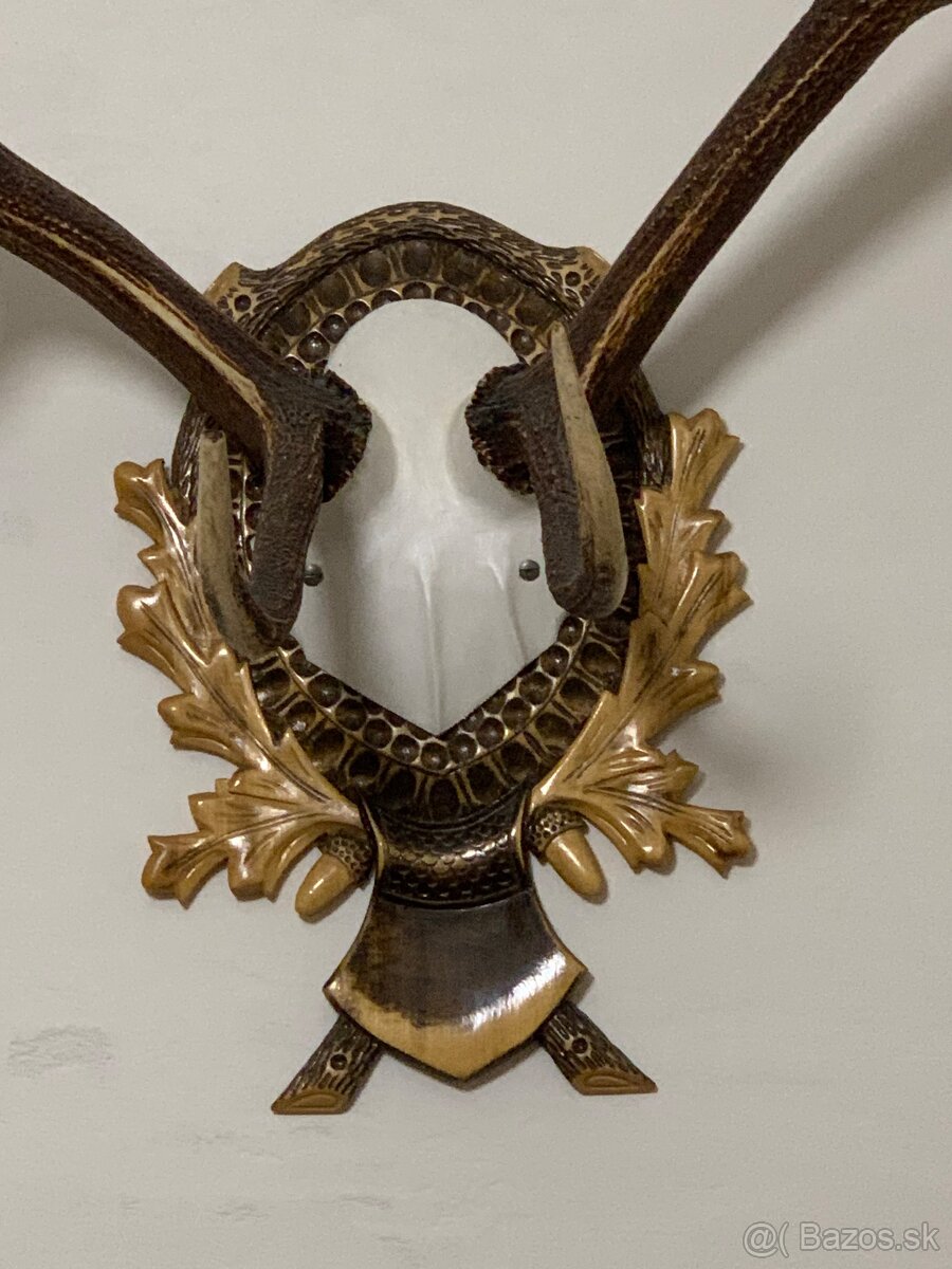 Jelenie Parožie - 2