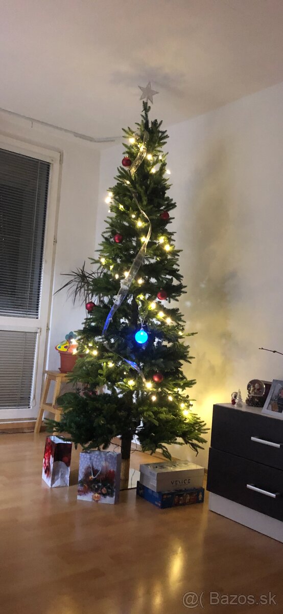 Vianočný stromček na predaj 210 cm - 2