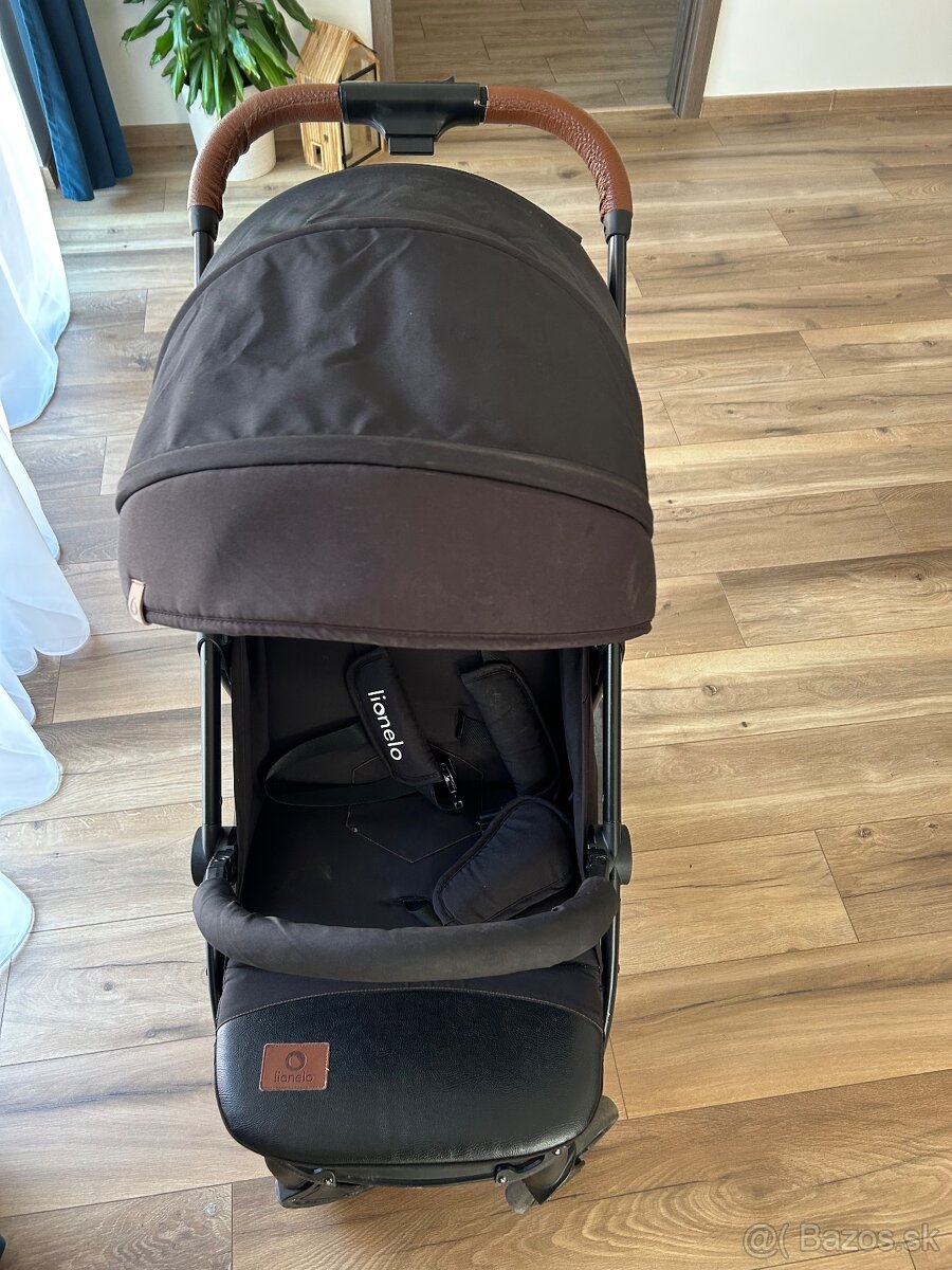 Kočík lionelo - 2