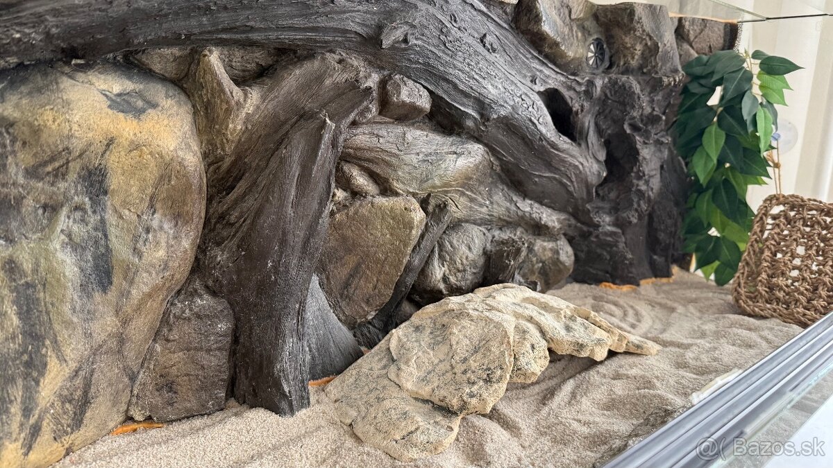 terarium pre agamu - 2