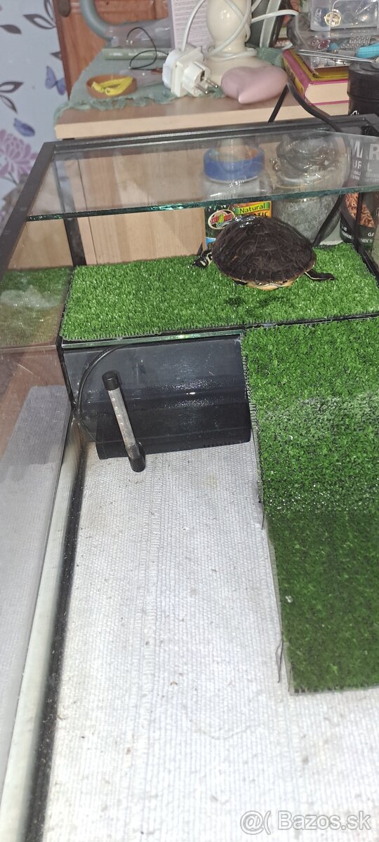 Lampa zdarma - KORYTNAČKA + AKVÁRIUM s príslušenstvom - 2