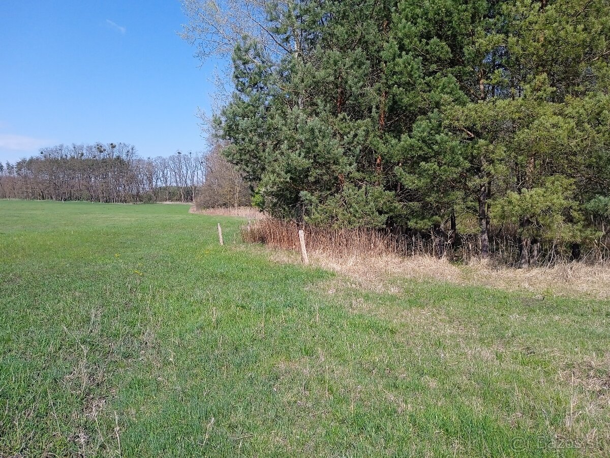 Dam do prenajmu les 800m2. - 2